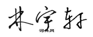 駱恆光林宇軒草書個性簽名怎么寫