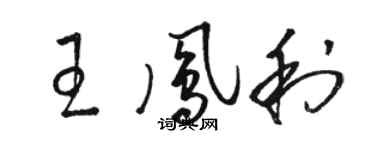 駱恆光王鳳利草書個性簽名怎么寫