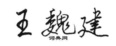 駱恆光王魏建行書個性簽名怎么寫