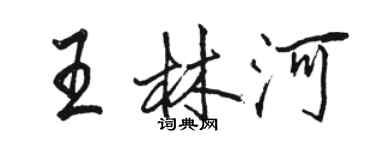 駱恆光王林河行書個性簽名怎么寫