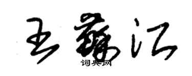 朱錫榮王蘇江草書個性簽名怎么寫