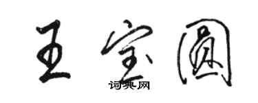 駱恆光王寶圓行書個性簽名怎么寫