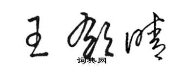 駱恆光王郁晴草書個性簽名怎么寫