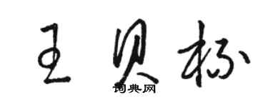 駱恆光王貝杯草書個性簽名怎么寫