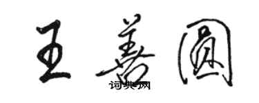 駱恆光王善圓行書個性簽名怎么寫