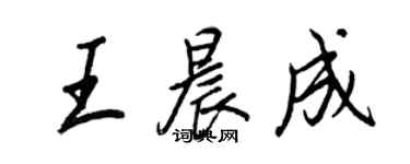 王正良王晨成行書個性簽名怎么寫