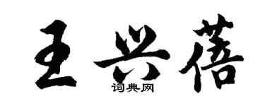 胡問遂王興蓓行書個性簽名怎么寫
