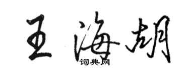 駱恆光王海胡行書個性簽名怎么寫