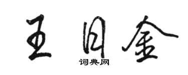 駱恆光王日金行書個性簽名怎么寫