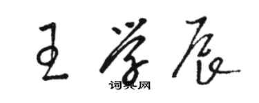 駱恆光王學辰草書個性簽名怎么寫