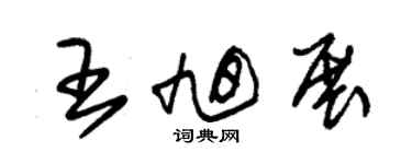 朱錫榮王旭展草書個性簽名怎么寫