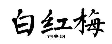 翁闓運白紅梅楷書個性簽名怎么寫