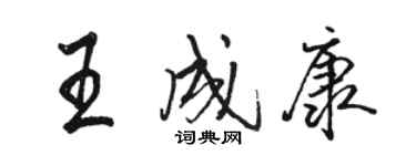 駱恆光王成康行書個性簽名怎么寫