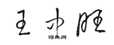 駱恆光王中旺草書個性簽名怎么寫