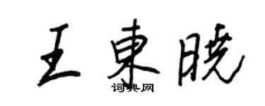 王正良王東曉行書個性簽名怎么寫
