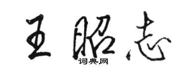 駱恆光王昭志行書個性簽名怎么寫