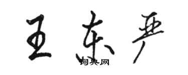 駱恆光王東嚴行書個性簽名怎么寫