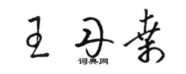 駱恆光王丹桑草書個性簽名怎么寫