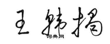 駱恆光王韓揭草書個性簽名怎么寫