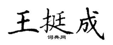 丁謙王挺成楷書個性簽名怎么寫