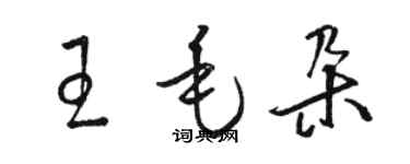 駱恆光王毛朵草書個性簽名怎么寫