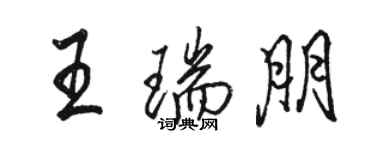 駱恆光王瑞朋行書個性簽名怎么寫