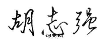 駱恆光胡志強行書個性簽名怎么寫