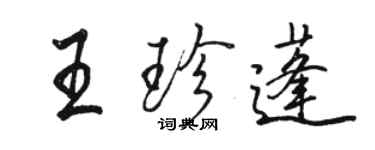 駱恆光王珍蓬行書個性簽名怎么寫