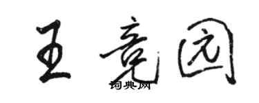 駱恆光王競園行書個性簽名怎么寫