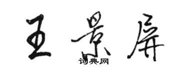 駱恆光王景屏行書個性簽名怎么寫