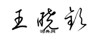 梁錦英王曉欽草書個性簽名怎么寫