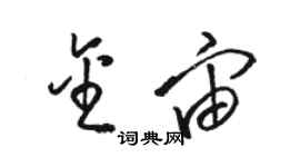 駱恆光金宙草書個性簽名怎么寫