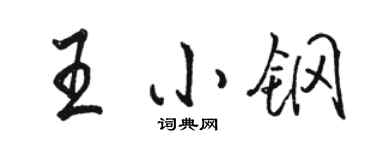 駱恆光王小鋼行書個性簽名怎么寫