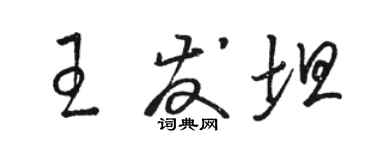 駱恆光王發坦草書個性簽名怎么寫