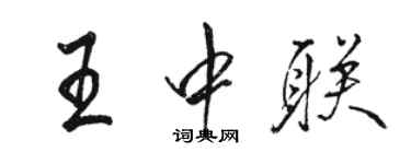 駱恆光王中聯行書個性簽名怎么寫