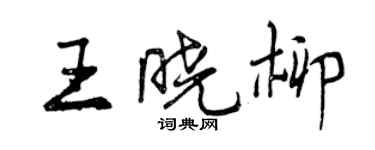 曾慶福王曉柳行書個性簽名怎么寫