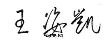 駱恆光王姿凱草書個性簽名怎么寫