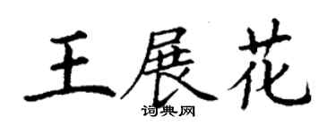 丁謙王展花楷書個性簽名怎么寫