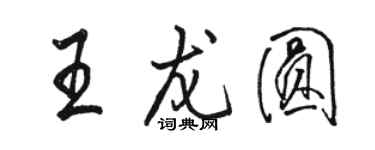 駱恆光王龍圓行書個性簽名怎么寫
