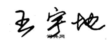 朱錫榮王宇地草書個性簽名怎么寫