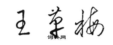 駱恆光王革梅草書個性簽名怎么寫