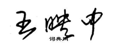 朱錫榮王映中草書個性簽名怎么寫
