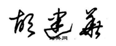 朱錫榮胡建華草書個性簽名怎么寫