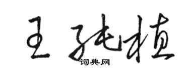 駱恆光王純植草書個性簽名怎么寫