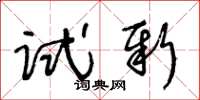 王冬齡試新草書怎么寫