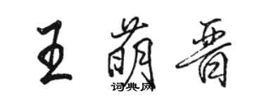 駱恆光王萌晉行書個性簽名怎么寫