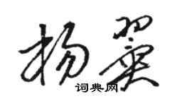 駱恆光楊翼草書個性簽名怎么寫