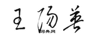 駱恆光王陽英草書個性簽名怎么寫