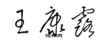 駱恆光王康露草書個性簽名怎么寫