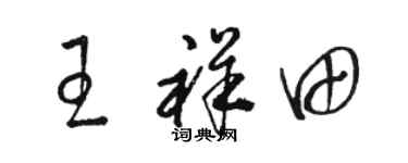 駱恆光王祥田草書個性簽名怎么寫